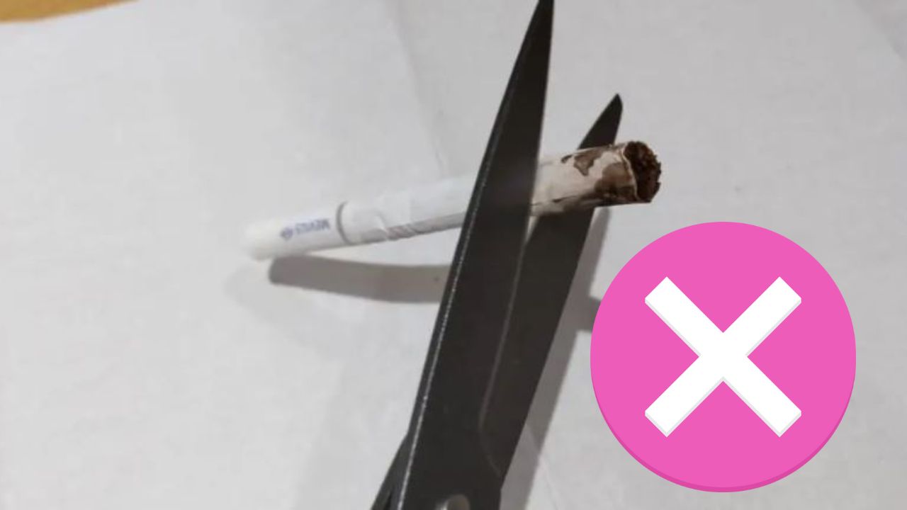 HIMASU 1Be3 Pro+をおすすめする人